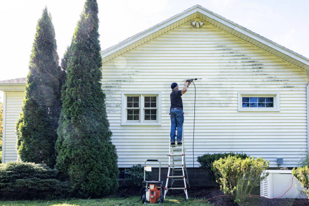 Best Roof Washing  in Kingsburg, CA